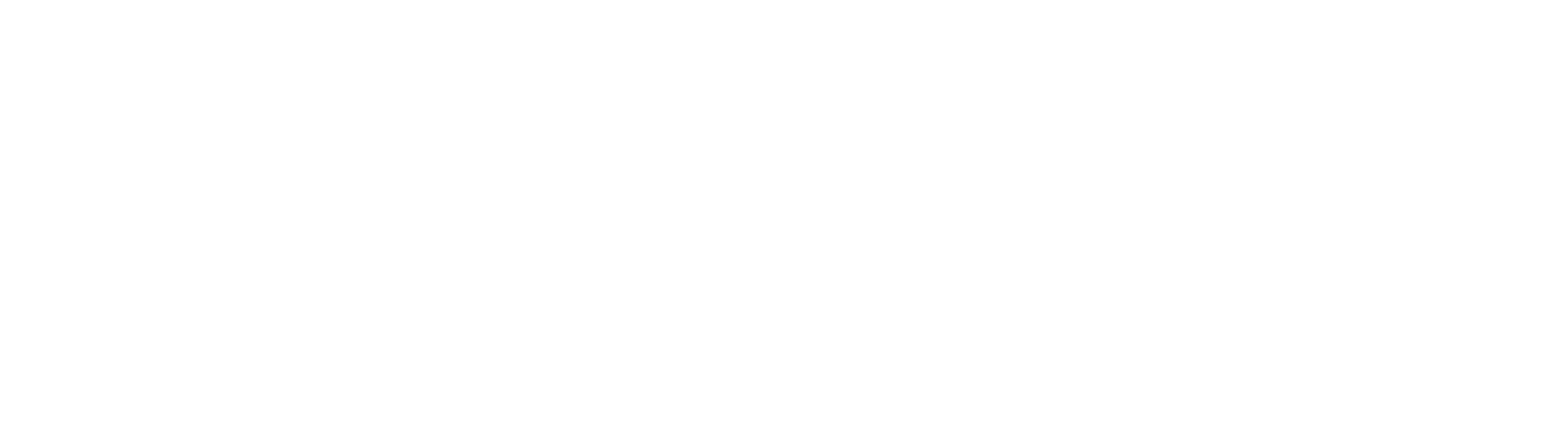 consist logo3-02
